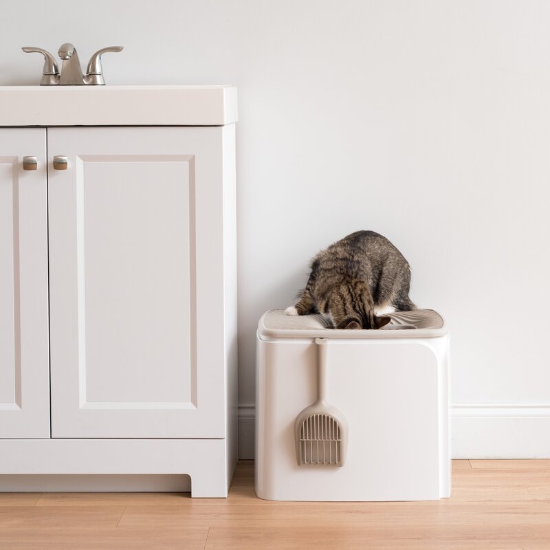 Rebrilliant Kenn Plastic Standard Litter Box & Reviews Wayfair